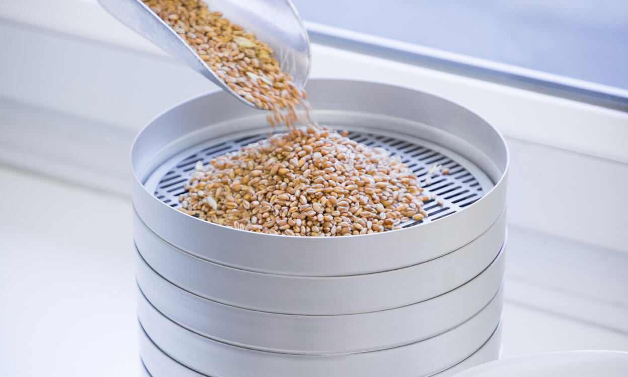 produits-MF-grains-624x380